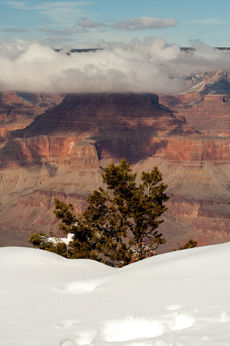 wiseman_WinterAtGrandCanyon
