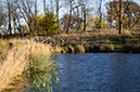 wiseman_Tranquility