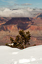 wiseman_WinterAtGrandCanyon